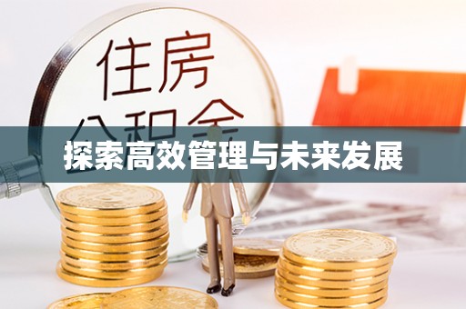 善化探索高效管理与未来发展