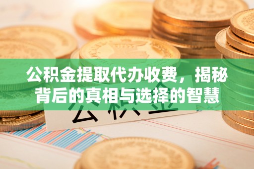善化公积金提取代办收费，揭秘背后的真相与选择的智慧