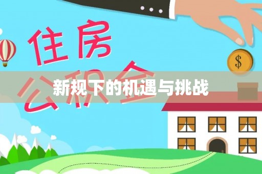善化新规下的机遇与挑战