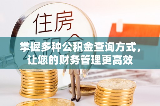 善化掌握多种公积金查询方式，让您的财务管理更高效