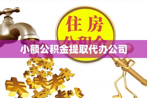 善化小额公积金提取代办公司