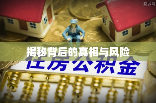 善化揭秘背后的真相与风险