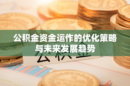 善化公积金资金运作的优化策略与未来发展趋势