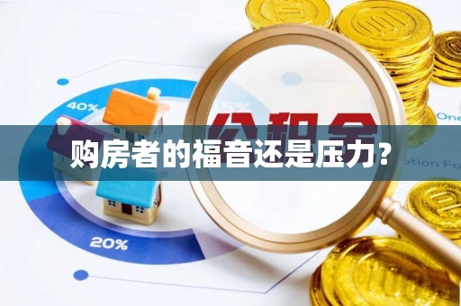 善化购房者的福音还是压力？