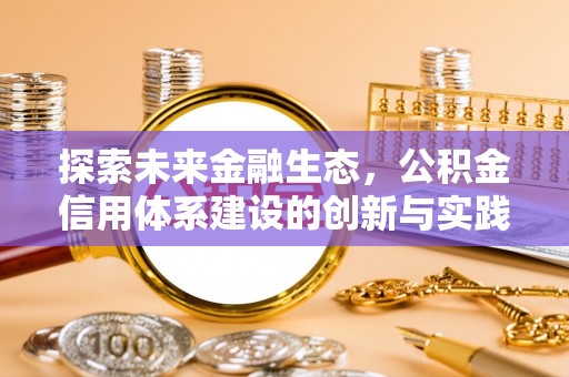 善化探索未来金融生态，公积金信用体系建设的创新与实践