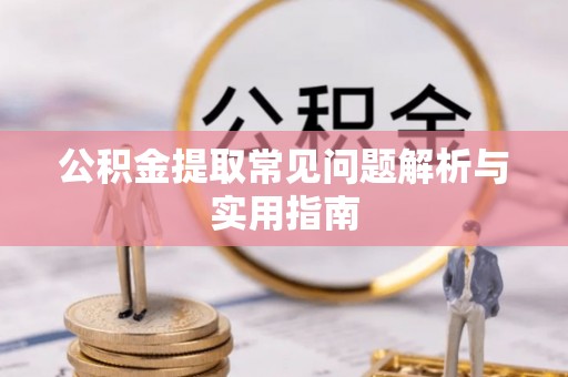 善化公积金提取常见问题解析与实用指南