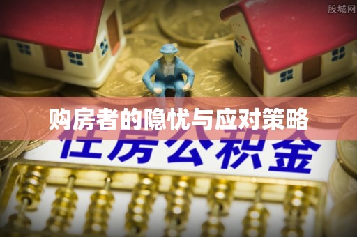 善化购房者的隐忧与应对策略