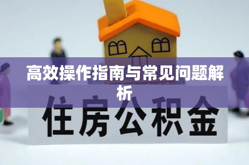 善化高效操作指南与常见问题解析