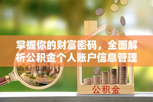 善化掌握你的财富密码，全面解析公积金个人账户信息管理与优化