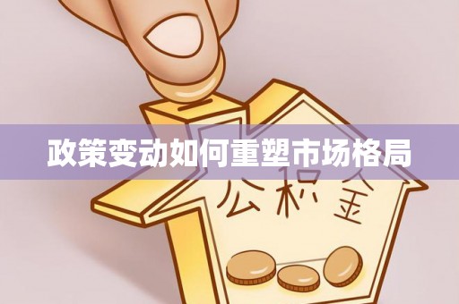 善化政策变动如何重塑市场格局