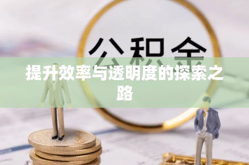 善化提升效率与透明度的探索之路