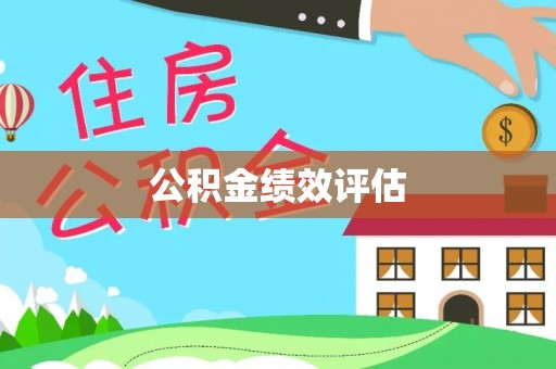 善化公积金绩效评估