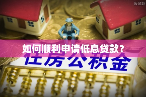 善化如何顺利申请低息贷款？
