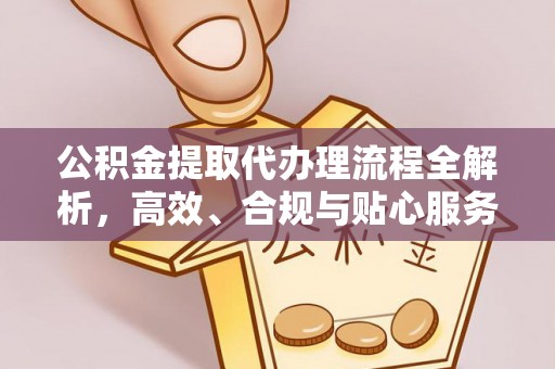善化公积金提取代办理流程全解析，高效、合规与贴心服务