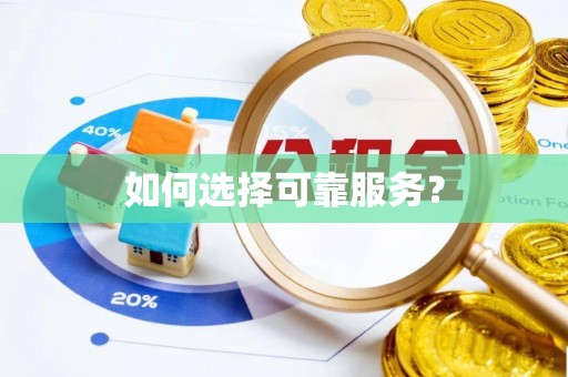 善化如何选择可靠服务？