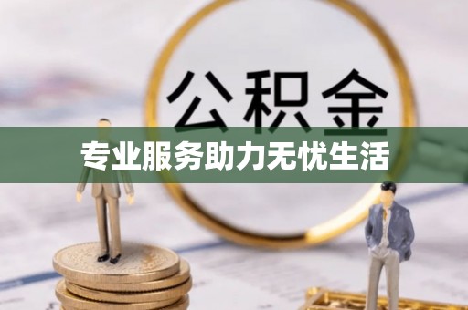善化专业服务助力无忧生活