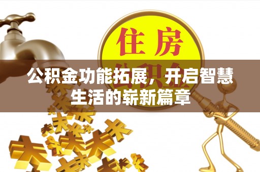 善化公积金功能拓展，开启智慧生活的崭新篇章