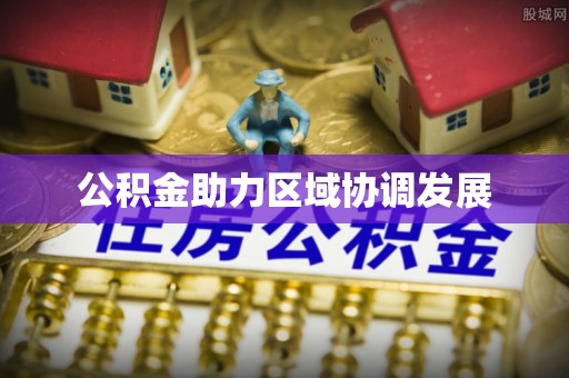 善化公积金助力区域协调发展