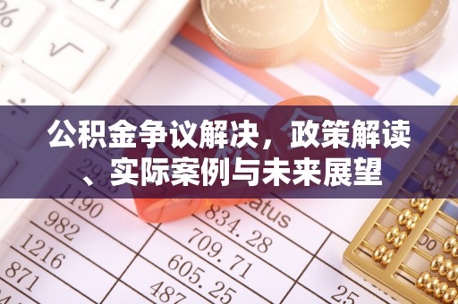 善化公积金争议解决，政策解读、实际案例与未来展望