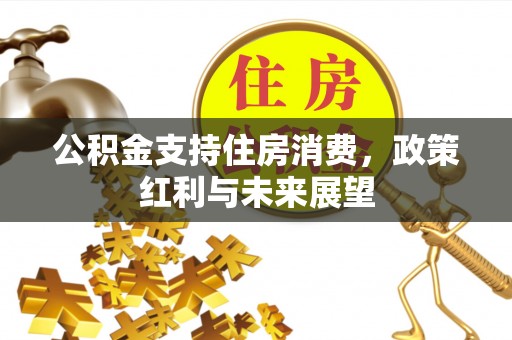 善化公积金支持住房消费，政策红利与未来展望
