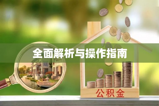 善化全面解析与操作指南
