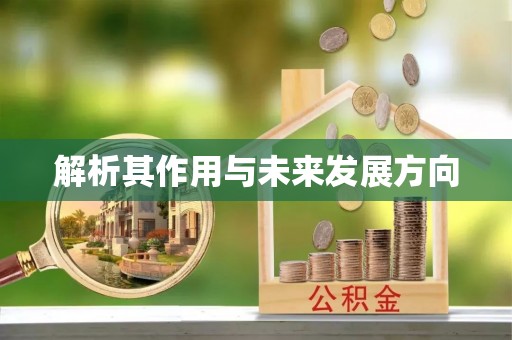 善化解析其作用与未来发展方向
