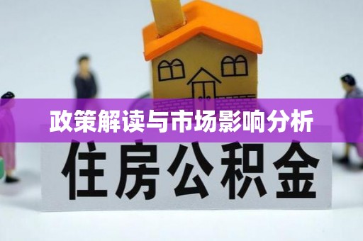 善化政策解读与市场影响分析