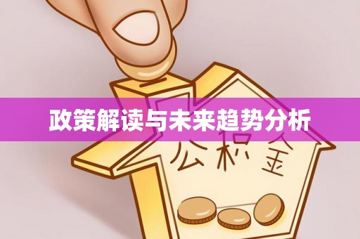善化政策解读与未来趋势分析