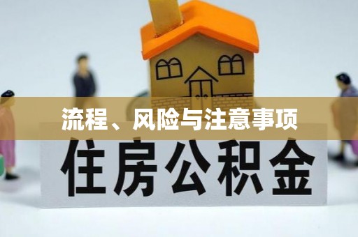 善化流程、风险与注意事项