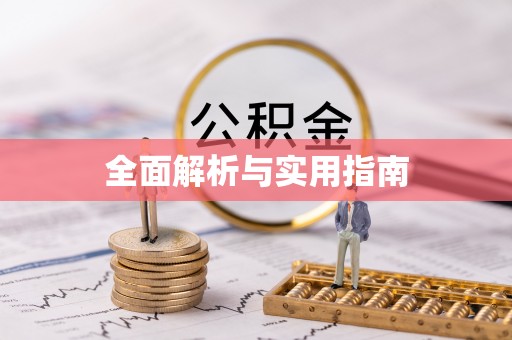 善化全面解析与实用指南